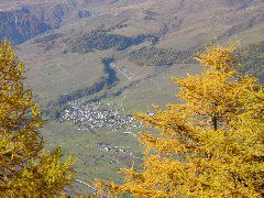 &copy;cr 20041024 schalambert_larschs_sent_15